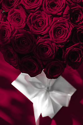 포토 JPG 해외이미지 행복 리본 꽃다발 사랑 사람없음 빨간색 선물상자 로맨틱 해외202309 해외포토 꽃 감정 컬러 컨셉 선물 상자 파일형식