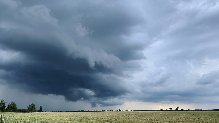 포토 JPG 해외이미지 나무 식물 계절 산업 음식 빵 줄기 컬러 백그라운드 밭 농업 일러스트 자연 하늘 날씨 건조 건강 사람없음 야외 농작물 햇빛 태양 뷰티 농장 노란색 마을 일몰 수확 성장 흰색 시골 신선 황금 낟알 시리얼 밀 보리 밭일 호밀 세련 해외202309 해외포토 자연요소 곡류 노을 생태계 파일형식