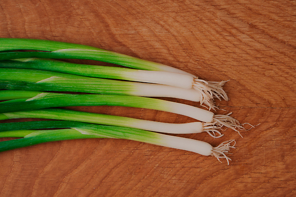 포토 JPG 해외이미지 식물 음식 백그라운드 잎 농업 다이어트 채소 재료 양파 파슬리 건강 마늘 종류 요리 사람없음 초록색 쌓기 주방 정원 샐러드 수확 시골 신선 양념 그룹 시장 상추 자르기 다발 허브 향신료 유기농 날것 슬라이스 모음 내추럴 쪽파 고립 딜 밭일 채식주의자 비건 해외202309 해외포토 웰빙 산업 컬러 모션 한글 채식 파 향미료 파일형식