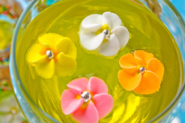 포토 JPG 해외이미지 꽃 음식 분홍색 백그라운드 디저트 사람없음 파란색 노란색 먹기 파란배경 젤리 해외202309 해외포토 식물 컬러 모션 파일형식