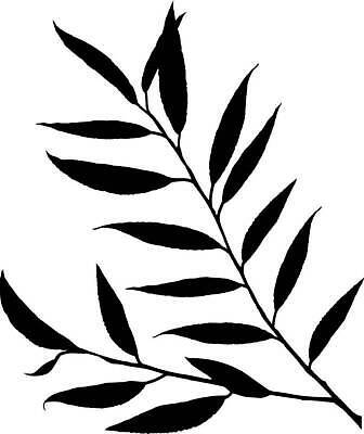 EPS 해외이미지 모양 나무 식물 디자인 계절 실루엣 줄기 백그라운드 스티커 잎 꽃무늬 일러스트 자연 추상 잉크 손바닥 미술 그래픽 장식 정원 검은색 봄 흰색 나뭇가지 스케치 문신 버드나무 심볼 윤곽 코코넛 내추럴 고립 엘리먼트 유칼립투스 이국적 하와이인 벡터 해외202309 해외일러스트 외국인 손 꽃 컬러 무늬 과일 문화예술 촬영기법 생태계 파일형식