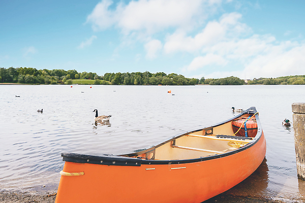 포토 JPG 해외이미지 나무 계절 공원 호수 스포츠 컬러 백그라운드 잎 자연 휴가 영국 잉글랜드 해변 사람없음 야외 빨간색 물 파란색 컬러풀 햇빛 뷰티 반사 평화 맑음 소나무 보트 숲 카누 장면 내추럴 해외202309 해외포토 자연요소 식물 공공시설 유럽 바다 컨셉 배_교통 날씨 태양 수상스포츠 생태계 파일형식