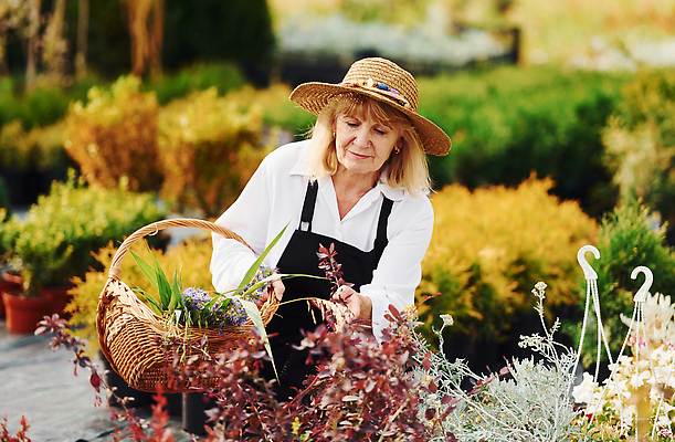 포토 JPG 해외이미지 백인 여자 노년 꽃 행복 화분 관리 한명 들기 상반신 취미 야외 앞모습 실버라이프 정원 봄 기쁨 원예 꽃바구니 원예식물 원예용품 노인여자한명만 해외202309 해외포토 서양인 식물 1 라이프스타일 계절 감정 뷰포인트 생활용품 모션 사람 성인 바구니 여자한명만 노인여자만 파일형식