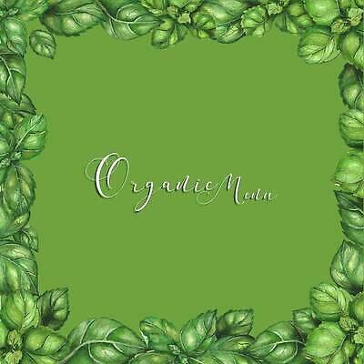 EPS 해외이미지 식물 다이어트 채소 일러스트 자연 수채화 프레임 건강 요리 초록색 신선 맛 허브 향신료 메뉴 유기농 바질 국경 해외202309 해외일러스트 웰빙 컬러 컨셉 생태계 향미료 파일형식 벡터