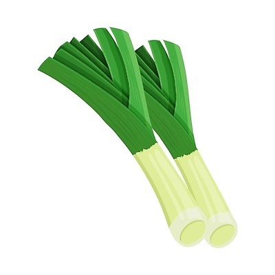 EPS 해외이미지 식물 디자인 음식 줄기 조각 컨셉 잎 농업 다이어트 채소 일러스트 재료 부분 자연 양파 건강 미술 그래픽 초록색 농장 샐러드 수확 신선 반지 시장 황금 맛 자르기 향신료 오브젝트 유기농 날것 뿌리 부추 비타민 내추럴 숙성 채식주의자 벡터 해외202309 해외일러스트 웰빙 산업 컬러 장신구 모션 문화예술 생태계 채식 영양소 향미료 파일형식