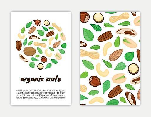 EPS 해외이미지 패턴 일러스트 사람없음 초록색 갈색 견과류 낙서 해외202309 해외일러스트 컬러 무늬 파일형식 벡터