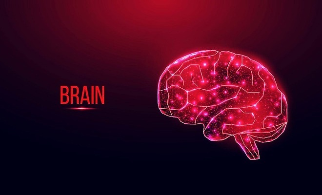 EPS 해외이미지 배너 과학 백그라운드 일러스트 추상 사람 디지털 자료 마음 네트워크 오르간 분석 뇌 시스템 인공 폴리곤 와이어프레임 해외202309 해외일러스트 컨셉 무늬 건반악기 파일형식 벡터