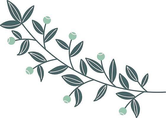 EPS 해외이미지 모양 식물 손 디자인 꽃잎 결혼 백그라운드 잎 꽃무늬 패턴 일러스트 자연 미술 그래픽 장식 초록색 여름 라벨 봄 수확 나뭇가지 시골 그리기 우아함 낙서 숲 인쇄 허브 그림 에코 유기농 초대 내추럴 고립 엘리먼트 벡터 그리너리 해외202309 해외일러스트 나무 웰빙 계절 꽃 컬러 컨셉 무늬 농업 모션 문화예술 프레임 이벤트 신체부위 환경 생태계 파일형식 트랜드컬러