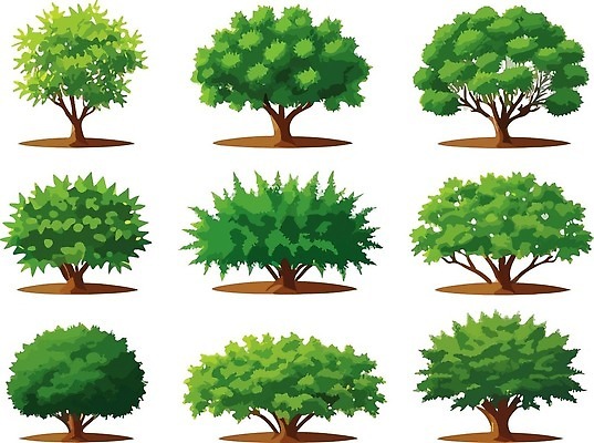 EPS 해외이미지 나무 일러스트 나뭇잎 사람없음 초록색 오브젝트 해외202309 해외일러스트 식물 컬러 잎 파일형식 벡터