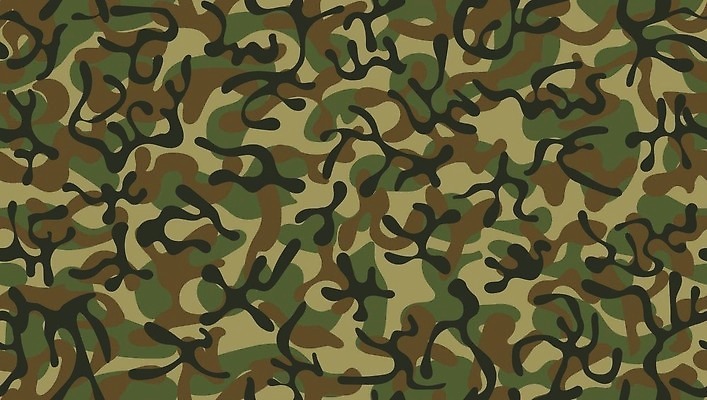 EPS 해외이미지 디자인 옷 컬러 유니폼 잎 패턴 일러스트 벽지 추상 미술 야외 초록색 유행 힘 게임 직물 바늘 클래식 선탠 숲 인쇄 질감 군용 싸움 전쟁 사냥 해군 육군 변장 병정 삼림지대 특공대 벡터 반복 해외202309 해외일러스트 식물 컨셉 무늬 모션 놀이 문화예술 군대 도구 특수부대 파일형식