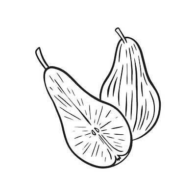 EPS 해외이미지 식물 손 디자인 커플 음식 조각 백그라운드 잎 다이어트 과일 일러스트 부분 자연 디저트 건강 미술 그래픽 수확 흰색 신선 달콤 스케치 자르기 오브젝트 그림 유기농 복고 판화 내추럴 고립 숙성 벡터 비건 해외202309 해외일러스트 웰빙 컬러 농업 관계 모션 문화예술 신체부위 맛 생태계 채식주의자 파일형식