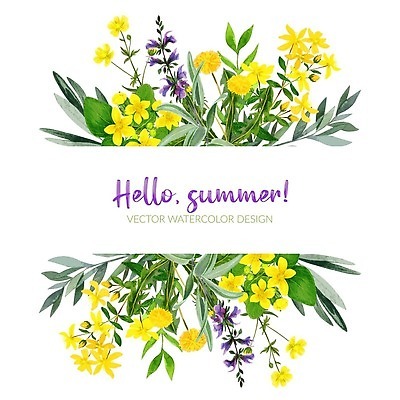 EPS 해외이미지 식물 템플릿 손 디자인 배너 꽃 결혼 백그라운드 잎 꽃무늬 밭 일러스트 자연 프레임 미술 장식 초록색 노란색 봄 나뭇가지 인사 신용카드 숲 민들레 허브 그림 초대 내추럴 고립 세이지 벡터 해외202309 해외일러스트 나무 계절 컬러 무늬 농업 문화예술 이벤트 신체부위 금융 예절 생태계 파일형식