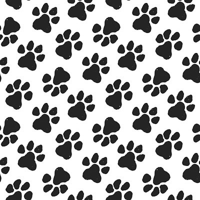 EPS 해외이미지 모양 동물 디자인 실루엣 야생동물 컬러 백그라운드 패턴 일러스트 자국 자연 벽지 추상 동물원 그래픽 반려동물 검은색 고양이 산책 흰색 직물 호랑이 개 강아지 인쇄 발자국 만화 천 심볼 흔적 사인 질감 윤곽 발가락 단계 수의사 내추럴 선로 양발 자취 각인 벡터 반복 해외202309 해외일러스트 무늬 포유류 발 휴식 촬영기법 의사 생태계 파일형식