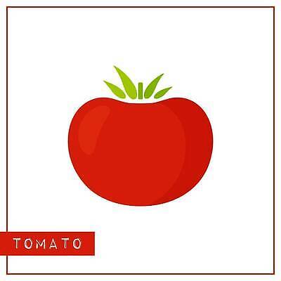 EPS 해외이미지 식물 교육 어린이 음식 농업 다이어트 토마토 채소 일러스트 학교 자연 놀이 건강 그래픽 빨간색 학습 농장 정원 유치원 수확 게임 흰색 신선 신용카드 가르침 시장 플랫 맛 수집 그림 에코 유기농 윤곽 고립 밭일 숙성 채식주의자 벡터 비건 해외202309 해외일러스트 웰빙 산업 컬러 컨셉 사람 금융 환경 생태계 채식 파일형식