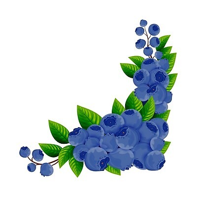 EPS 해외이미지 식물 디자인 열매 음식 줄기 백그라운드 잎 패턴 과일 일러스트 자연 장식 초록색 여름 파란색 컬러풀 정원 보라색 수확 가을 나뭇가지 신선 모서리 제비꽃 묘사 유기농 질감 블루베리 내추럴 고립 숙성 월귤 벡터 국경 해외202309 해외일러스트 나무 웰빙 계절 꽃 컬러 무늬 농업 생태계 파일형식