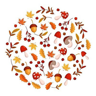 EPS 해외이미지 식물 템플릿 디자인 배너 계절 열매 백그라운드 단풍 잎 꽃무늬 오렌지 일러스트 자연 호박 휴가 프레임 장식 컬러풀 화환 버섯 수확 가을 나뭇가지 인사 원형 신용카드 숲 인쇄 11월 초대 도토리 추수감사절 10월 내추럴 고립 벡터 국경 해외202309 해외일러스트 도형 나무 꽃 기독교 컬러 무늬 농업 채소 과일 금융 견과류 예절 날짜 생태계 파일형식