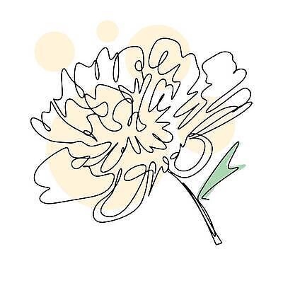 EPS 해외이미지 클립아트 식물 1 디자인 꽃잎 꽃 실루엣 선 잎 꽃무늬 곡선 일러스트 자연 추상 미술 그래픽 장식 여름 뷰티 장미 검은색 성장 벚꽃 흰색 신용카드 그리기 우아함 스케치 그림 심플 윤곽 판화 고립 엘리먼트 작약 타격 파스텔톤 벡터 해외202309 해외일러스트 계절 컬러 컨셉 무늬 모션 문화예술 촬영기법 금융 생태계 파일형식