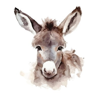 EPS 해외이미지 야생동물 일러스트 사람없음 귀여움 회색 질감 번짐 당나귀 해외202309 해외일러스트 동물 컬러 컨셉 말_동물 파일형식 벡터 효과