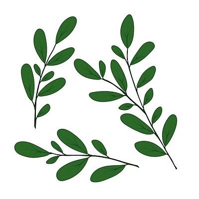 EPS 해외이미지 나무 식물 템플릿 디자인 과학 백그라운드 컨셉 잎 일러스트 자연 미술 그래픽 장식 초록색 세트 정원 봄 흰색 나뭇가지 플랫 만화 수집 허브 심볼 사인 유기농 생물학 심플 윤곽 손그림 내추럴 고립 바이오 생태학 엘리먼트 벡터 해외202309 해외일러스트 웰빙 계절 교육 컬러 문화예술 생태계 파일형식