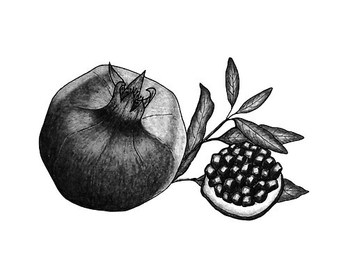 EPS 해외이미지 식물 손 음식 다이어트 과일 일러스트 재료 자연 디저트 수채화 흑백 건강 미술 그래픽 여름 페인트 신선 달콤 맛 스케치 오브젝트 그림 유기농 손그림 석류 판화 비타민 내추럴 고립 숙성 엘리먼트 이국적 채식주의자 벡터 비건 맛있는 해외202309 해외일러스트 웰빙 계절 컨셉 문화예술 촬영기법 신체부위 생태계 채식 영양소 파일형식