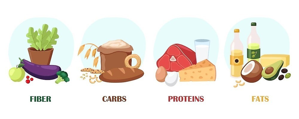 EPS 해외이미지 라이프스타일 디자인 음식 빵 백그라운드 컨셉 다이어트 채소 과일 일러스트 텍스트 치즈 건강 육류 그래픽 세트 계란 식사 에너지 흰색 그룹 플랫 기름 상품 브로콜리 낟알 만화 시리얼 수집 심볼 그림 섬유 버터 비타민 아보카도 고립 단백질 복잡 엘리먼트 탄수화물 벡터 해외202309 해외일러스트 컬러 식재료 유제품 생활 알 직물 영양소 파일형식