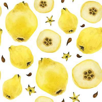 EPS 해외이미지 꽃 패턴 과일 일러스트 단면 씨앗 사람없음 노란색 해외202309 마르멜루 해외일러스트 식물 컬러 무늬 파일형식 벡터