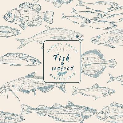 EPS 해외이미지 영어 일러스트 어류 타이포그라피 사람없음 사각형 빈티지 참치 라인아트 해산물 연어 고등어 가자미 농어 대구 송어 청어 해외202309 해외일러스트 도형 문자 선 컨셉 수중동물 파일형식 벡터