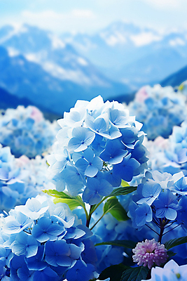 JPG 편집이미지 잎 여름꽃 자연 사람없음 파란색 수국 편집실사 AI포토 AI콘텐츠 식물 꽃 컬러 CG 생태계 파일형식 여름_계절