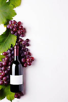 JPG 편집이미지 포도 사람없음 하이앵글 와인 와인병 디지털합성 포도잎 목업 카피스페이스 편집소스 편집실사 AI포토 AI콘텐츠 뷰포인트 잎 과일 병_용기 주류 공백 CG 파일형식