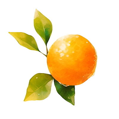 PSD 잎 오렌지 일러스트 붓터치 수채화 귤 사람없음 주황색 물방울 수분 국내일러스트 식물 컬러 과일 파일형식