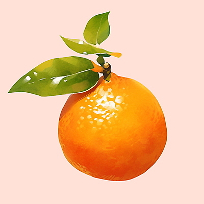 PSD 잎 오렌지 일러스트 붓터치 수채화 귤 사람없음 주황색 국내일러스트 식물 컬러 과일 파일형식