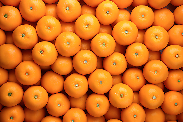 JPG 편집이미지 오렌지 과일 귤 사람없음 주황색 가득함 편집실사 AI포토 AI콘텐츠 컬러 CG 파일형식