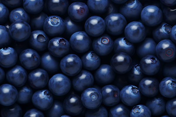 JPG 편집이미지 과일 사람없음 남색 가득함 블루베리 편집실사 AI포토 AI콘텐츠 컬러 CG 파일형식