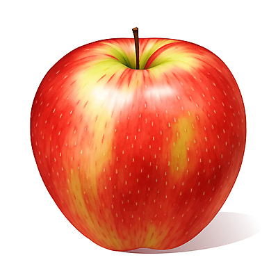 과일 일러스트 사람없음 빨간색 한개 사과 꼭지 국내일러스트 AI파일 1 컬러 파일형식 벡터