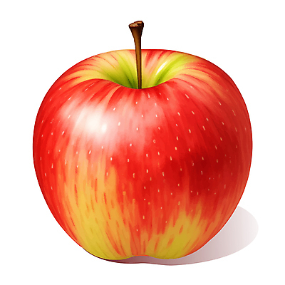과일 일러스트 사람없음 빨간색 한개 사과 꼭지 국내일러스트 AI파일 1 컬러 파일형식 벡터