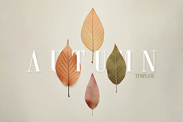 PSD 편집이미지 포스터 단풍 낙엽 나뭇잎 타이포그라피 사람없음 가을 디지털합성 감성 편집소스 미니멀 이미지편집 문자 계절 컨셉 잎 파일형식