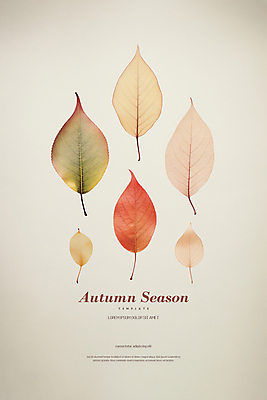 PSD 편집이미지 포스터 단풍 낙엽 나뭇잎 사람없음 가을 디지털합성 감성 편집소스 미니멀 이미지편집 계절 컨셉 잎 파일형식