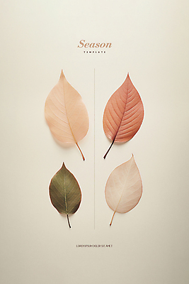 PSD 편집이미지 포스터 단풍 낙엽 나뭇잎 사람없음 가을 디지털합성 감성 편집소스 미니멀 이미지편집 계절 컨셉 잎 파일형식