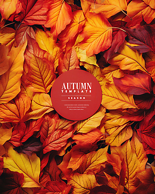 PSD 템플릿 단풍 낙엽 나뭇잎 프레임 사람없음 빨간색 가을 디지털합성 편집소스 이미지템플릿 계절 컬러 잎 파일형식