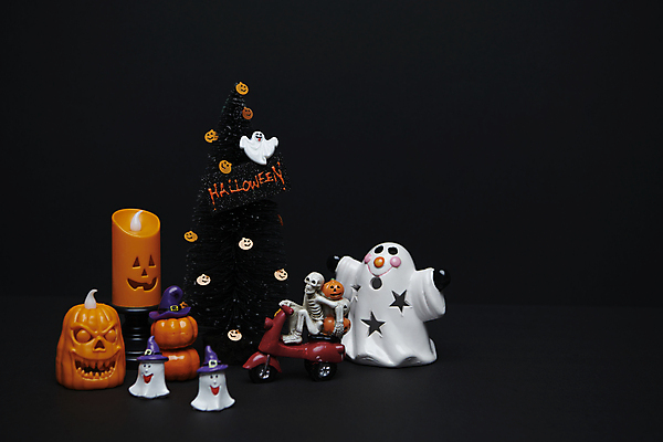 포토 JPG 스튜디오촬영 호박 해골 사람없음 모형 검은색 할로윈 오토바이 가을 유령 오브젝트 나무모형 잭오랜턴 카피스페이스 국내포토 계절 컬러 채소 뼈 실내 바이크 공백 파일형식