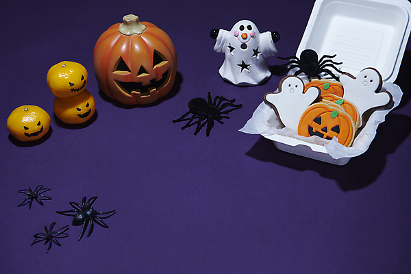 포토 계절 컬러 곤충 채소 과일 디저트 실내 상자 모형 공백 할로윈 파일형식 미니어처 포장상자 잭오랜턴 보라색 카피스페이스 가을 사람없음 호박 유령 거미 쿠키 귤 스튜디오촬영 JPG 오브젝트 국내포토