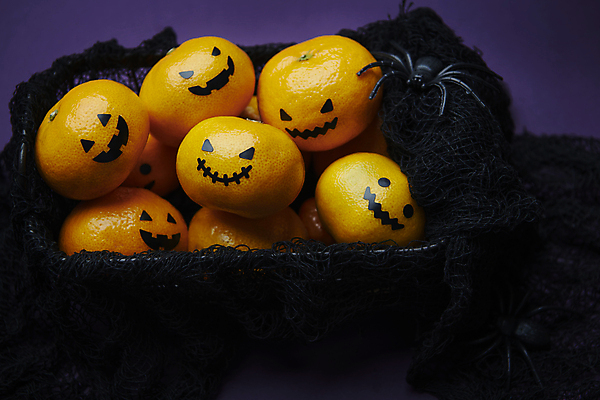 포토 JPG 스튜디오촬영 귤 표정 근접촬영 사람없음 바구니 미니어처 할로윈 가을 천 오브젝트 담기 거미 잭오랜턴 국내포토 계절 뷰포인트 곤충 과일 모션 실내 모형 직물 파일형식