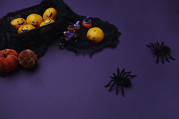 포토 JPG 스튜디오촬영 호박 귤 사람없음 바구니 모형 보라색 할로윈 가을 천 오브젝트 담기 거미 잭오랜턴 벨벳 국내포토 계절 컬러 곤충 채소 과일 모션 실내 직물 실크 파일형식