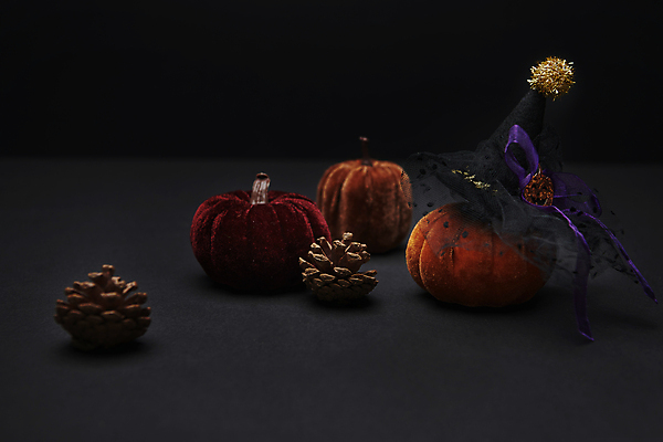 포토 JPG 스튜디오촬영 호박 사람없음 모형 미니어처 할로윈 가을 오브젝트 솔방울 마녀모자 벨벳 국내포토 모자_잡화 계절 채소 실내 실크 파일형식