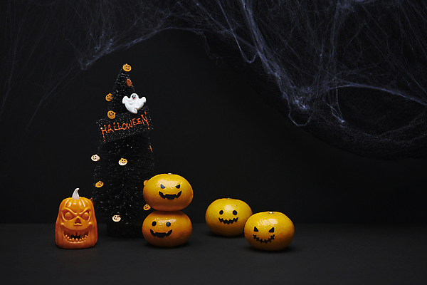 포토 JPG 스튜디오촬영 귤 사람없음 장식 검은색 할로윈 가을 유령 거미줄 오브젝트 나무모형 잭오랜턴 국내포토 계절 컬러 과일 실내 모형 파일형식