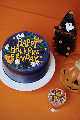 포토 JPG 스튜디오촬영 사탕 사람없음 하이앵글 모형 케이크 주황색 할로윈 가을 오브젝트 담기 나무모형 잭오랜턴 국내포토 계절 뷰포인트 컬러 모션 디저트 실내 파일형식