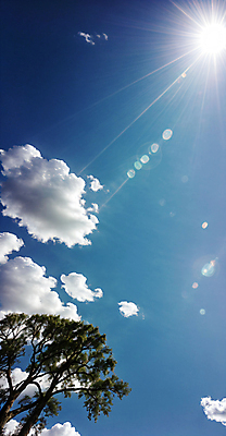 JPG 나무 구름 편집이미지 백그라운드 자연 하늘 풍경 사람없음 파란색 햇빛 태양 맑음 편집실사 AI포토 AI콘텐츠 자연요소 식물 컬러 날씨 CG 생태계 파일형식