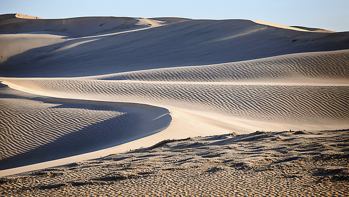JPG 편집이미지 모래 자연 풍경 사람없음 사막 풀 모래언덕 편집실사 AI포토 AI콘텐츠 식물 언덕 CG 생태계 파일형식