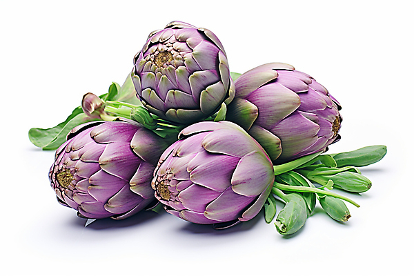 JPG 편집이미지 채소 사람없음 초록색 보라색 신선 아티초크 편집실사 AI포토 AI콘텐츠 컬러 CG 파일형식