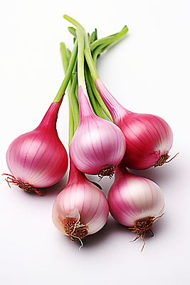 JPG 편집이미지 채소 사람없음 보라색 신선 샬롯 편집실사 AI포토 AI콘텐츠 컬러 양파 CG 파일형식